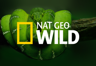 Nat Geo Wild   -  5